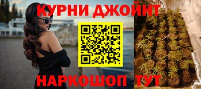 МДПВ Моздок