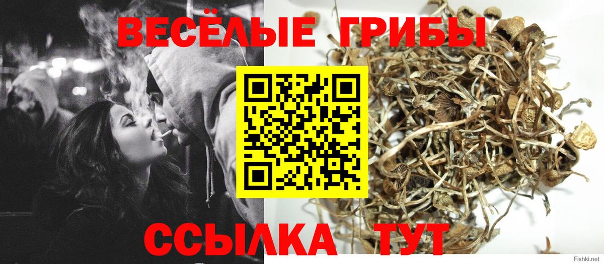 Галлюциногенные грибы Cubensis  Вход с VPN  Галлюциногенные грибы мицелий  Серов 